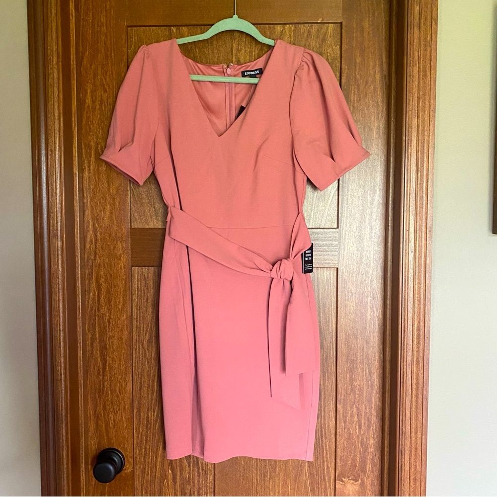 Express Dress V-Neck Beautiful Rose/Salmon Color